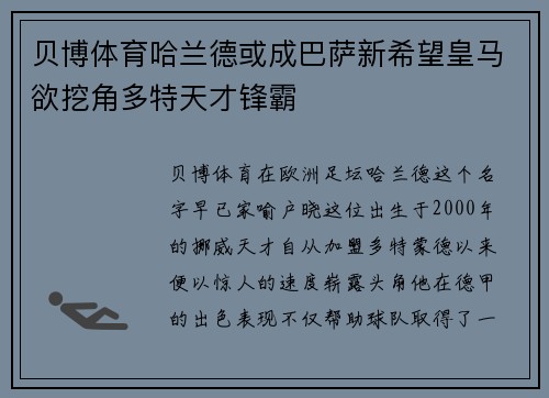 贝博体育哈兰德或成巴萨新希望皇马欲挖角多特天才锋霸