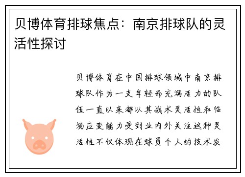 贝博体育排球焦点：南京排球队的灵活性探讨